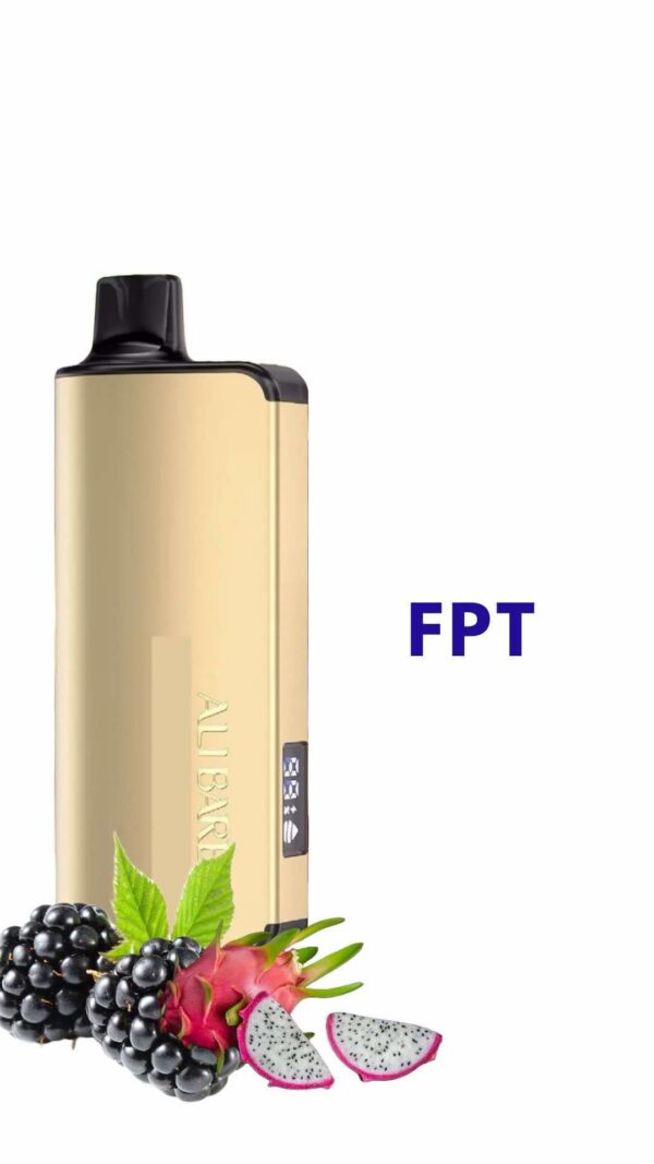 ALIBARBAR INGOT – FPT – 9000 PUFFS